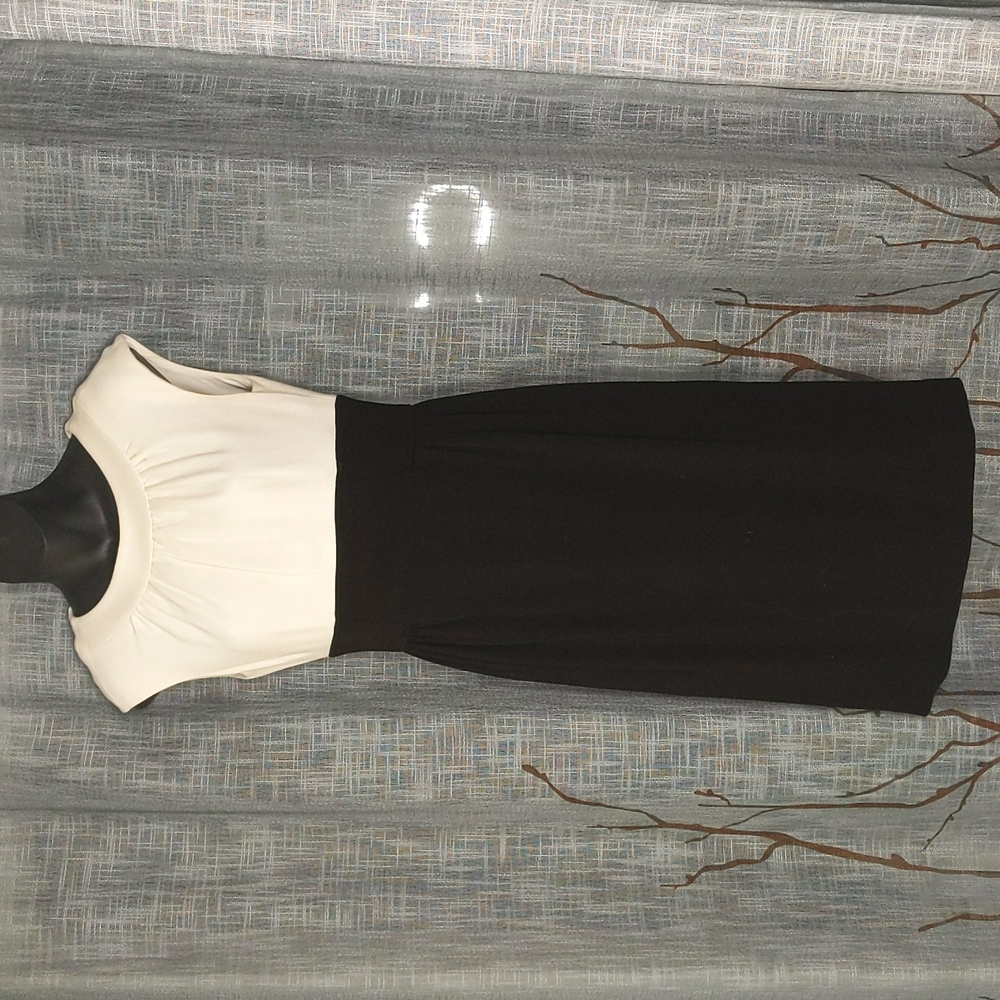 Maggy London Black White Formal Career Dress